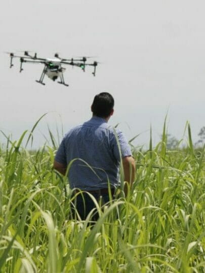 Agritech drones will lead the way in food and farming by 2030