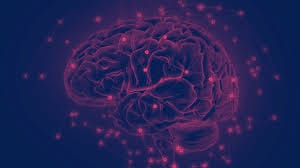 Unlocking the Potential of Neuroeducation: Exploring the Fascinating Intersection of Neuroscience and Education